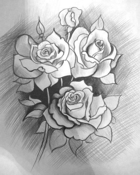 Цветы для срисовки