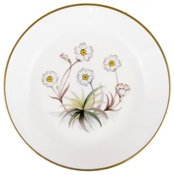 Цветы на фарфоре