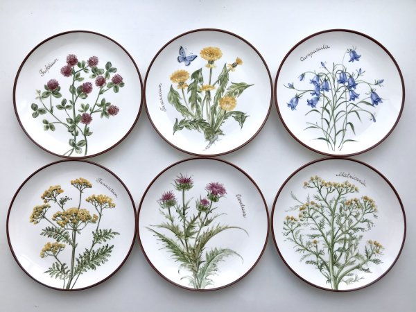 Цветы роспись по фарфору