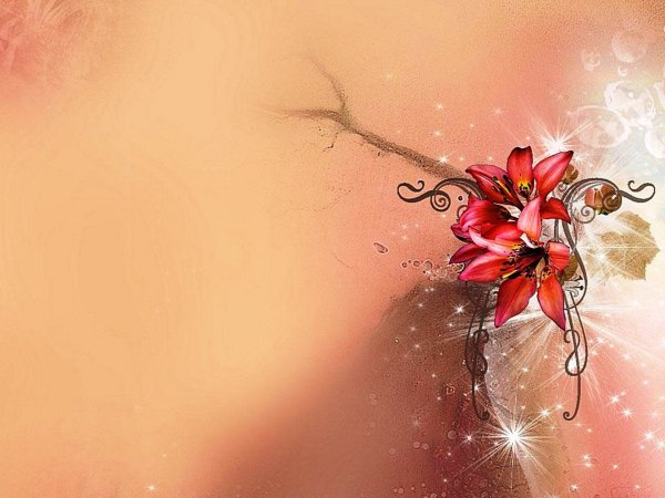 С днем рождения ЯПОЛИНА