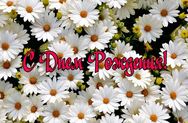 Поздравление для Полины