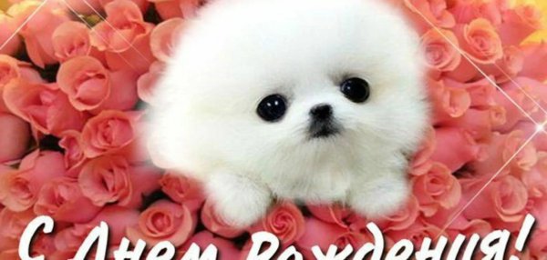 Спасибо Полина