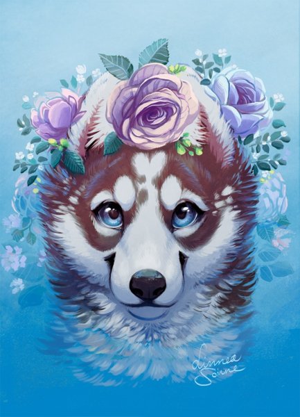 Хаски весной