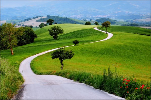 Green Hills зеленые холмы