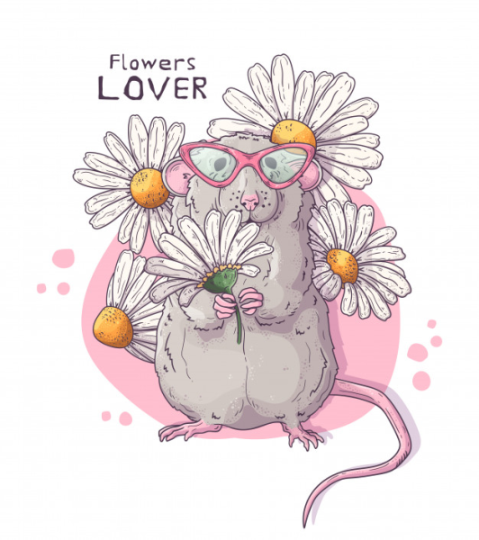 Нарисованная крыска с букетом