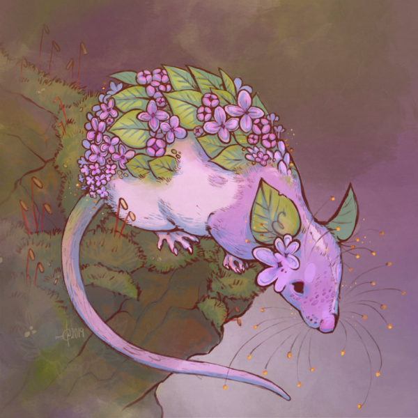 Волшебная крыса