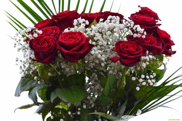 Цветы букет