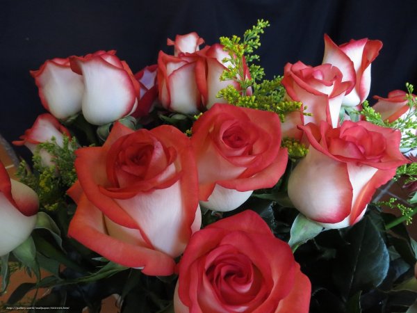 Девушка с цветами