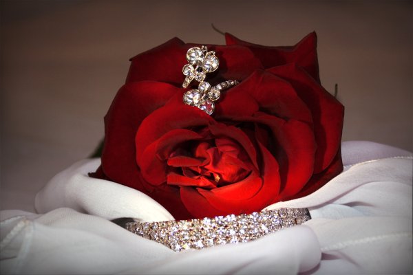 С днем бухгалтера