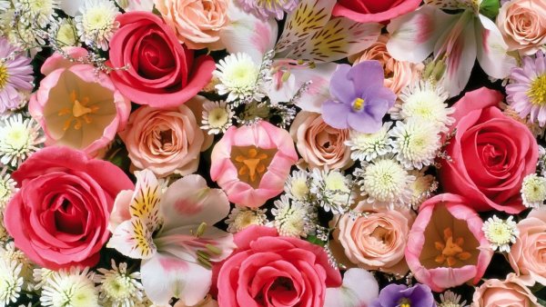 Обложка с цветами