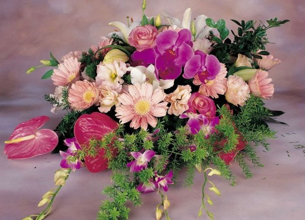 Фрезия герберы букет