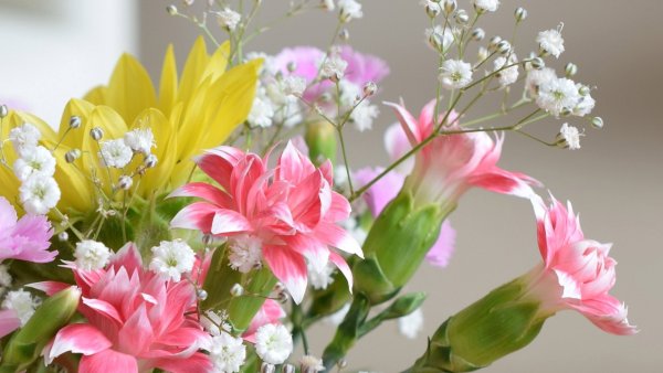 Цветы с добрыми пожеланиями