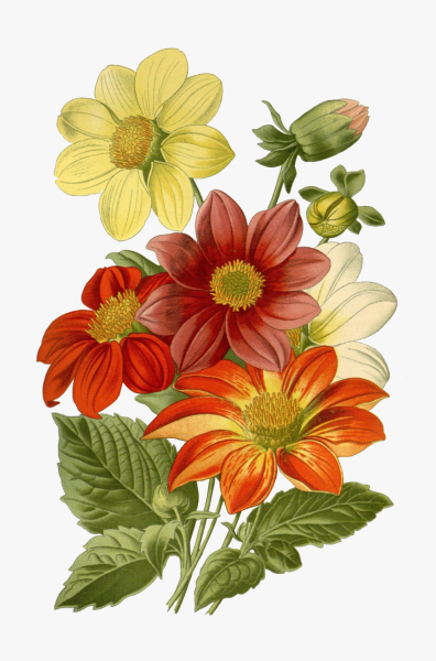 Рисовать цветы