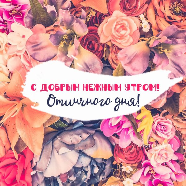 Доброе утро четвергьмай