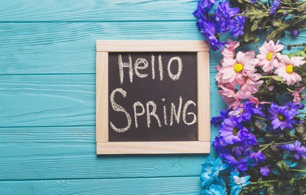 Hello Spring обои на рабочий стол