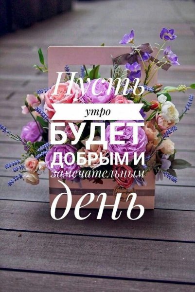 Доброе утро цитаты