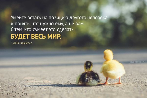 Красивые выражения о жизни