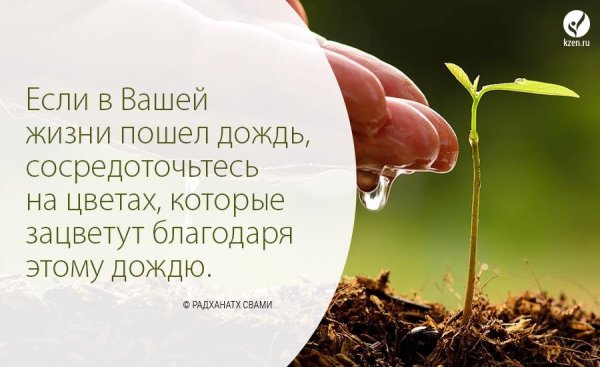 У каждого дня свой аромат