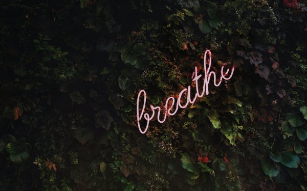 Высказывания о мечте