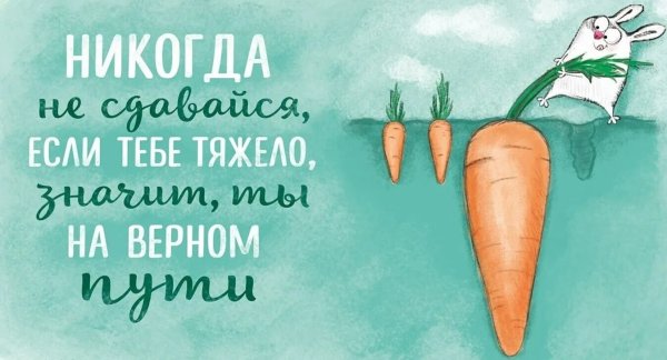 Цитаты о радости