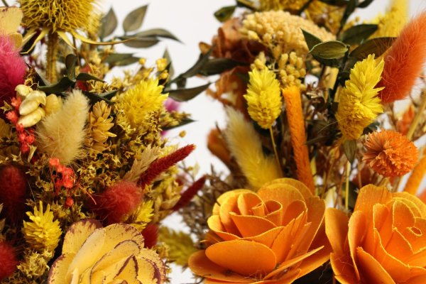 Очень красивые осенние цветы