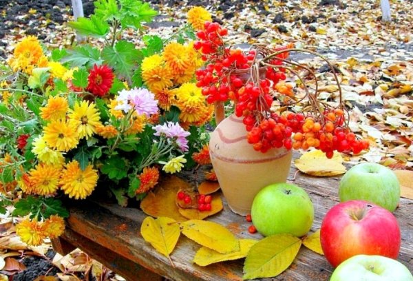 Осень в саду