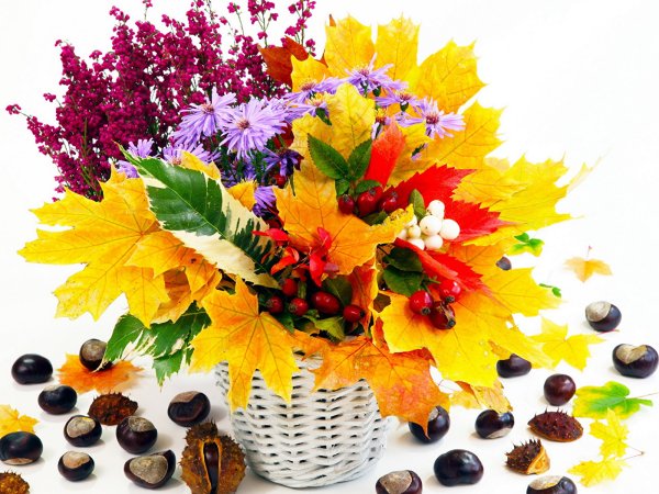 Букет из осенних цветов