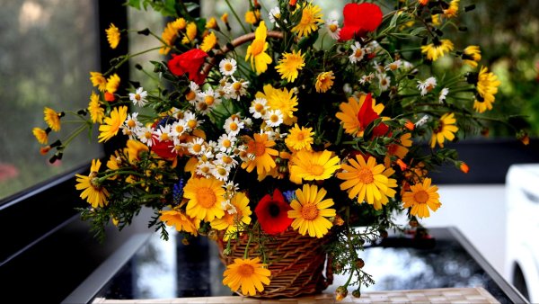 Букет полевых цветов