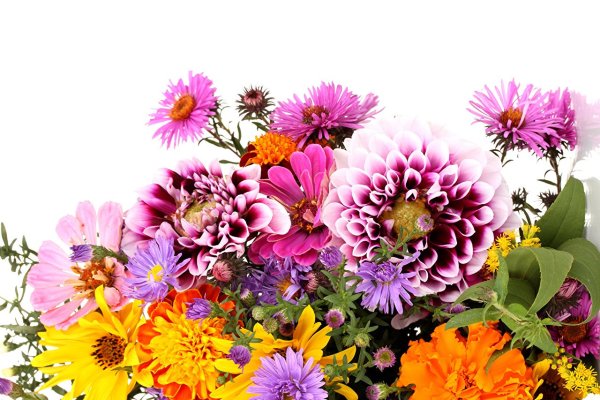 Осенние цветы