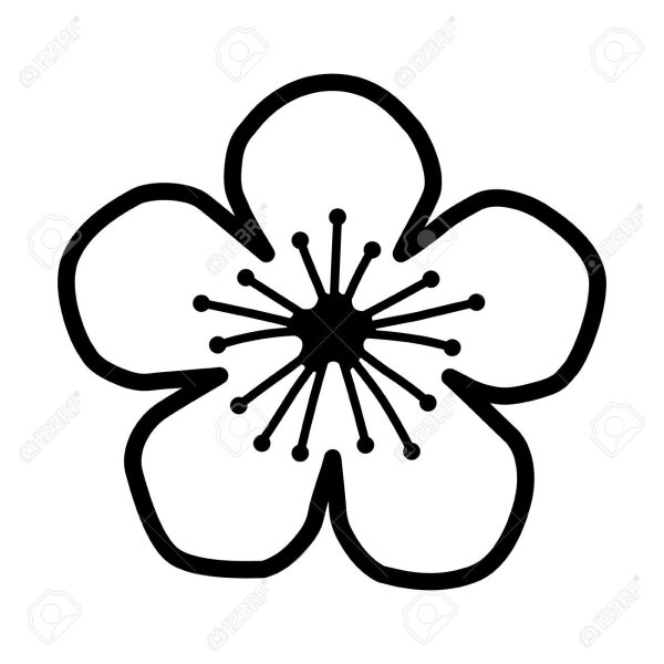 Цветок Сакуры трафарет