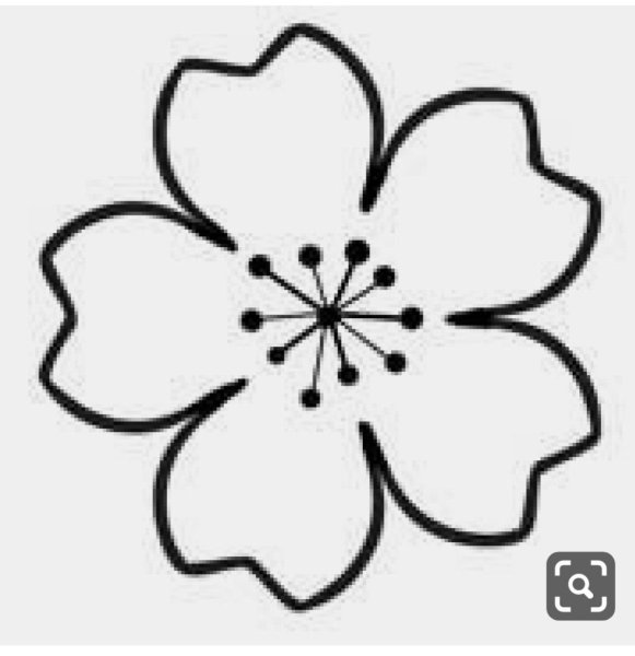 Трафарет цветов Сакуры