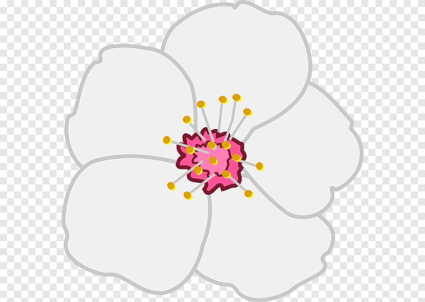 Цветы яблони рисунок