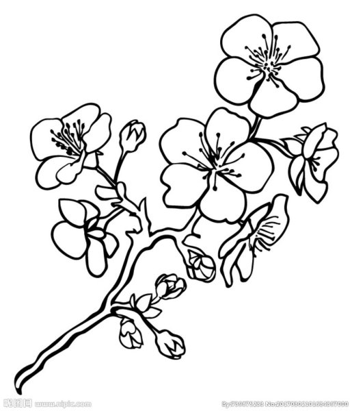 Цветок контур для вырезания