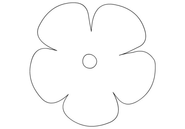 Сакура рисунок