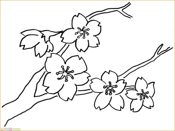 Контурные рисунки цветов для вырезания