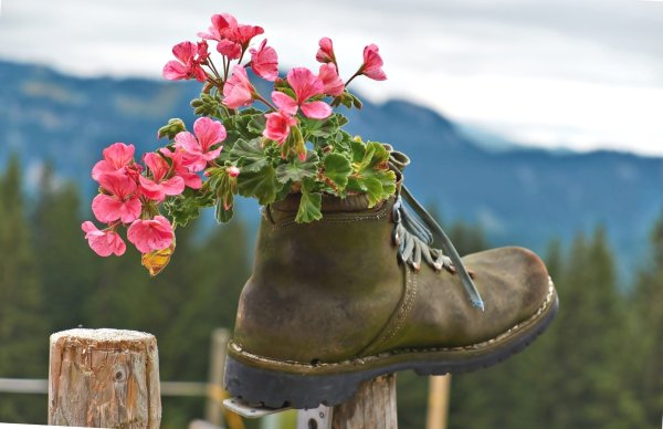 Сапоги с цветами