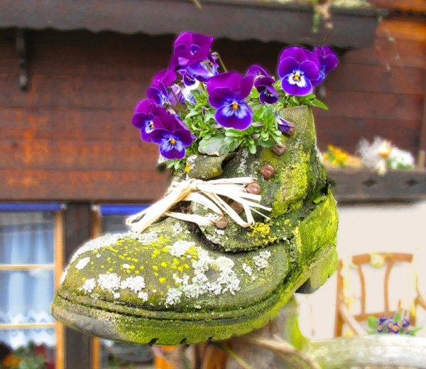 Ботинки с цветами