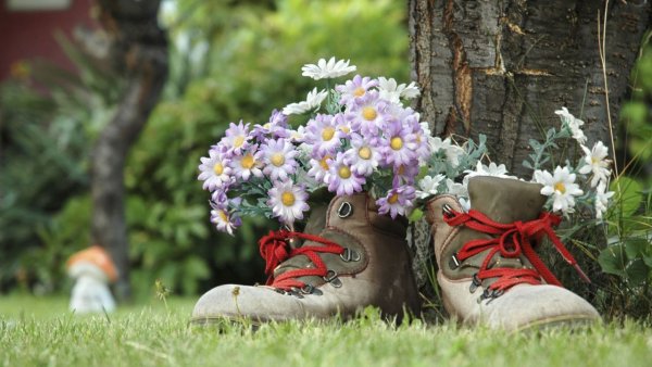 Цветы в башмаке