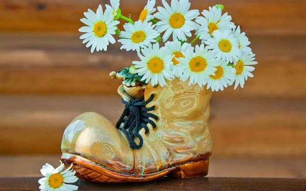 Счастье в ромашках