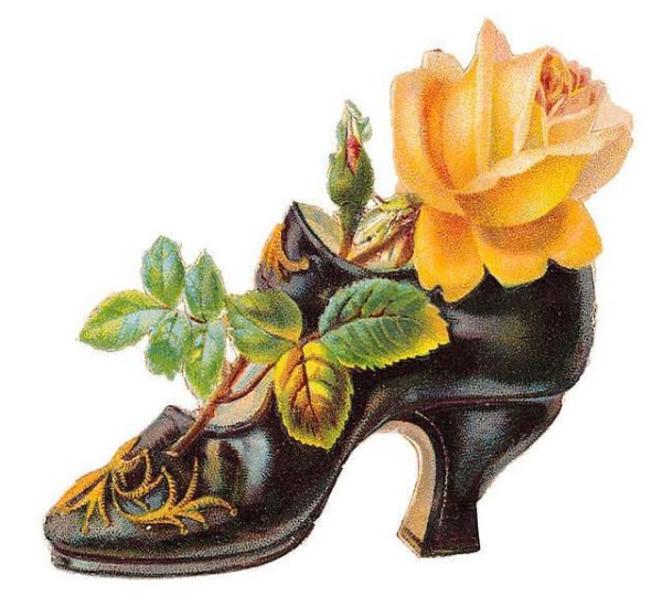 Цветы в старых туфлях