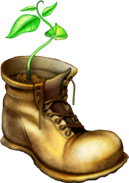 Натюрморт цветы в ботинке