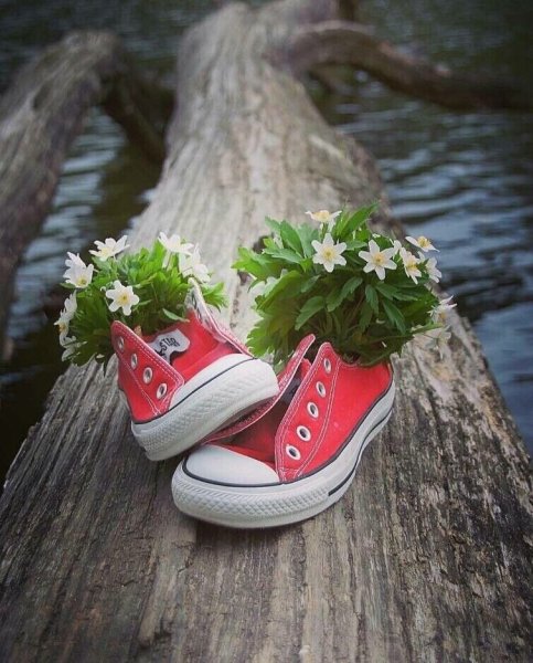 Кашпо из обуви для цветов