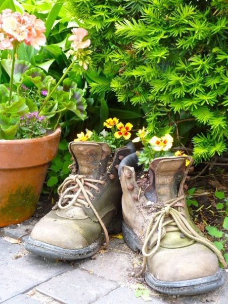 Старая калоша