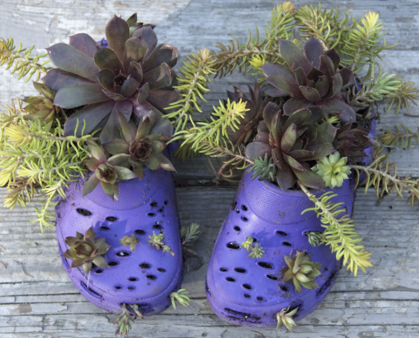 Цветы в ботинках