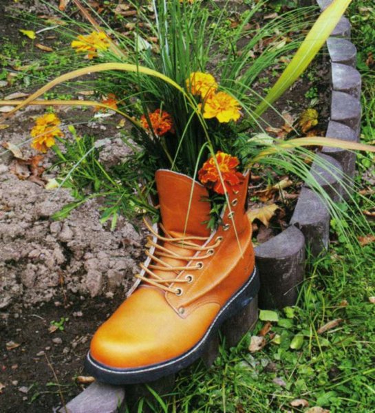 Необычные цветы в горшках