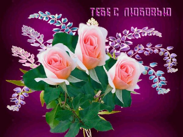 Цветы для подруги