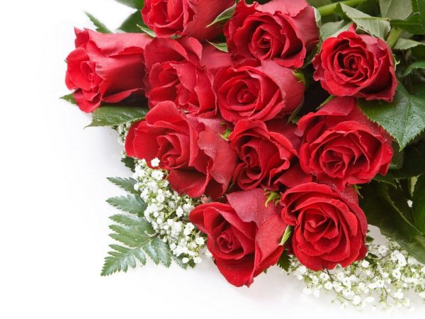 Букет красных роз