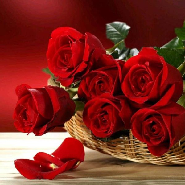 Роскошные цветы