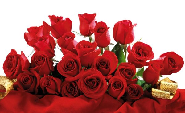 Прекрасные цветы для прекрасной женщины