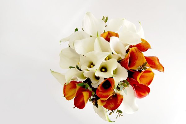 Букет "каллы и Краспедия"